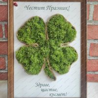 Картини със скандинавски мъх