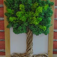 Картина Дървото на живота със скандинавски мъх