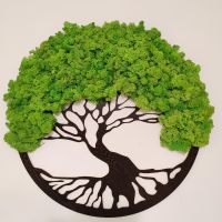 Пано със скандинавски мъх (50см.диаметър)