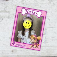 Магнит Скай Пес Патрул